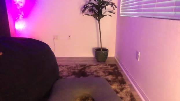 ironbutterfly69  27-05-2023 video strip