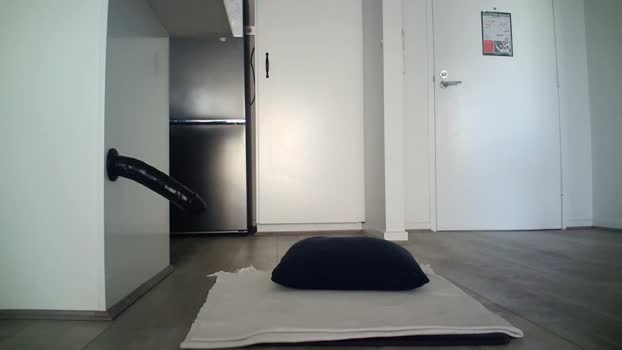 fitfella  31-05-2023 video play