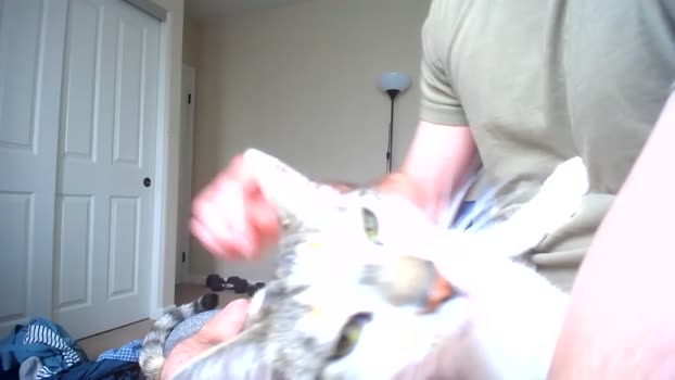 hung_dude_19  07-06-2023 video bigload