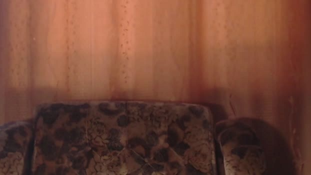 porn88s  09-06-2023 video bigtoys