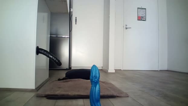 fitfella  10-06-2023 video kinky