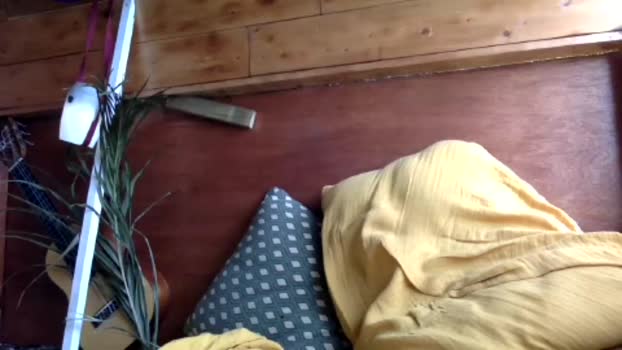 coconanacam  12-06-2023 video bj-dildo