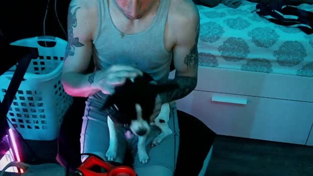 d3w1033  11-06-2023 video Porn