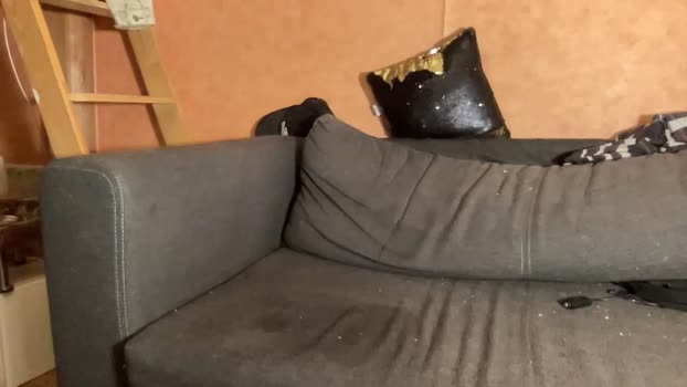 heythe21  13-06-2023 video lick