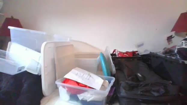 malebdsmslut  14-06-2023 video lick