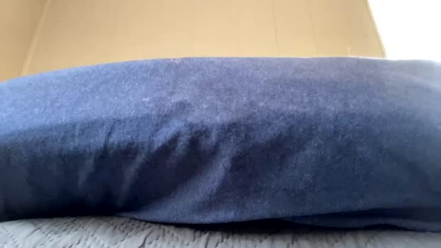 brokedaddyg  16-06-2023 video moan