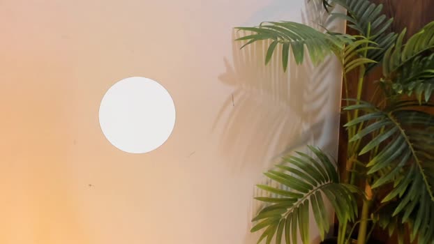 ashton_coleman_  18-06-2023 video sweet