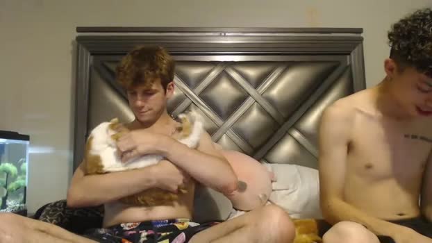 gayndepressed  19-06-2023 video analsex