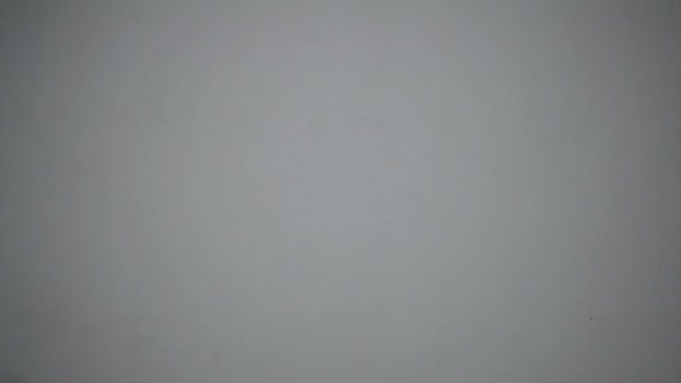 tomy_fleck  22-06-2023 video lovense