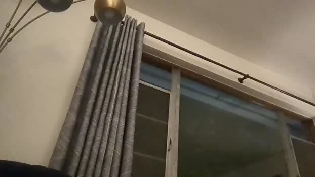 bareleeworking  25-06-2023 video horny