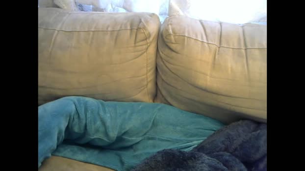 highandhorny3336  27-06-2023 video jerkoff