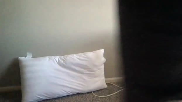 jungcock3210  28-06-2023 video suckshow