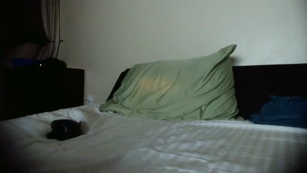 vanillagorilla365  01-07-2023 video lick