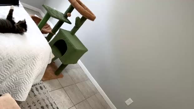 damnimhandsome25  02-07-2023 video analsex