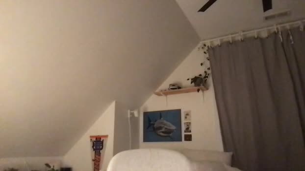 willrussell078  02-07-2023 video sexykitty