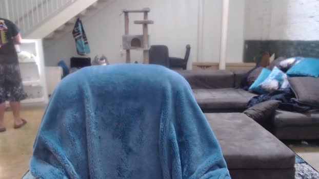 wookgonewild  04-07-2023 video beautiful