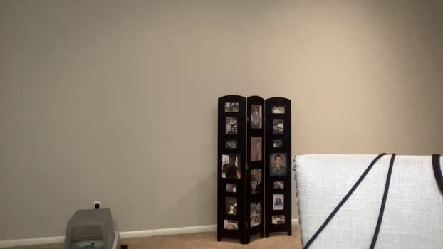 alphazack14  08-07-2023 video sweet