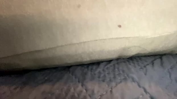 brokedaddyg  10-07-2023 video kiss