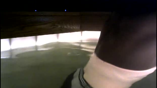 anythingrp  15-07-2023 video analtoy