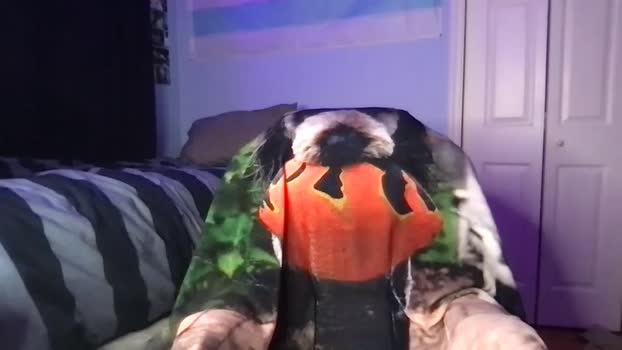 joco2525  15-07-2023 video fuckhard