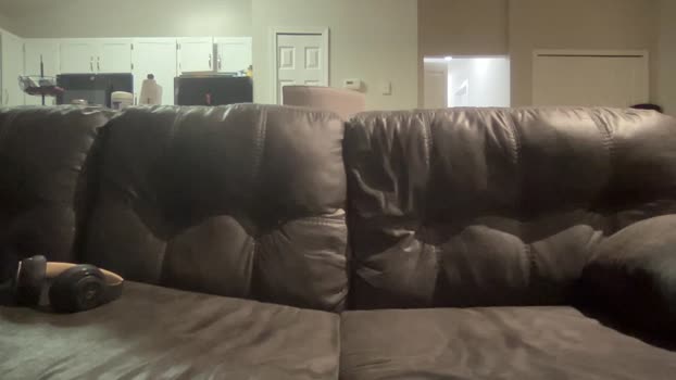 alphazack14  23-07-2023 video Video