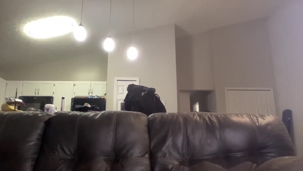 alphazack14  25-07-2023 video show