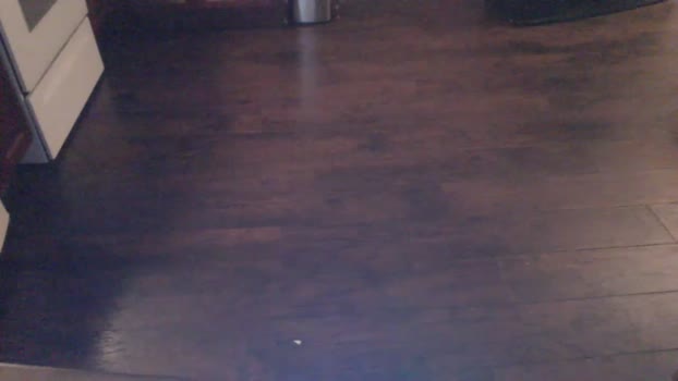 qqgambitqq  24-07-2023 video orgasm