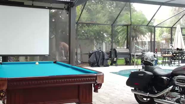 bestcockhere  27-07-2023 video Download