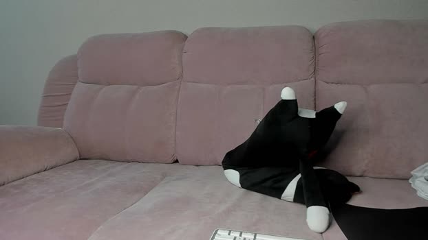 dzimistiv  28-07-2023 video bicurious