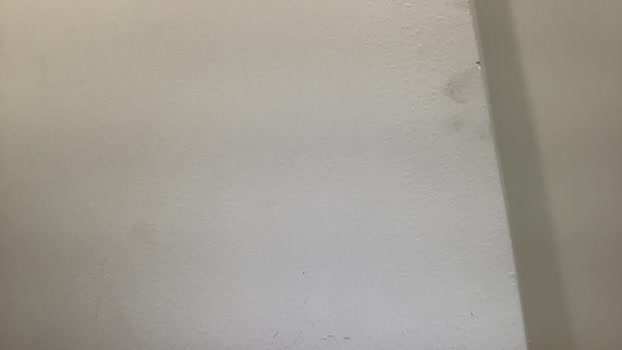 jtg2015  27-07-2023 video kissing