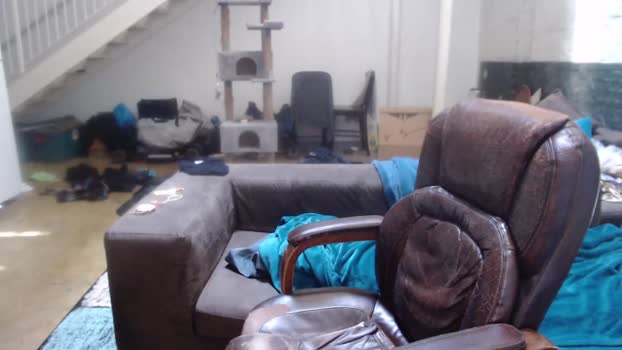 wookgonewild  27-07-2023 video suckshow