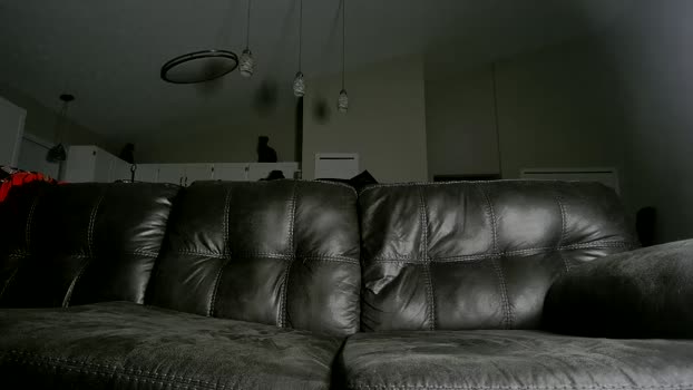 alphazack14  28-07-2023 video lovense