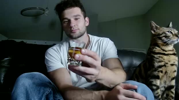 alphazack14  29-07-2023 video analtoy