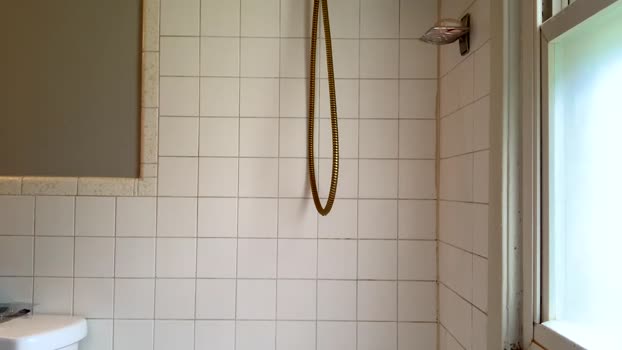 hailzeffn  29-07-2023 video gag