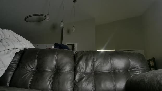 alphazack14  31-07-2023 video orgasm