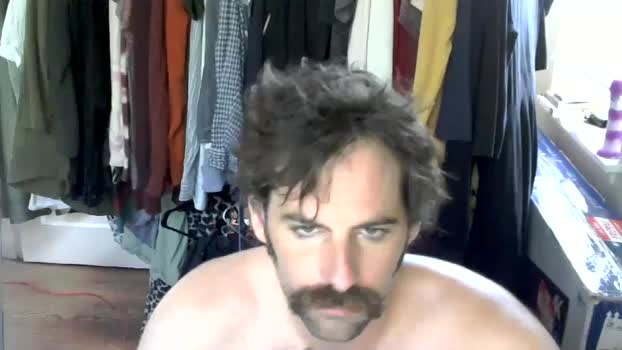 purple_collij_prof  01-08-2023 video sexykitty