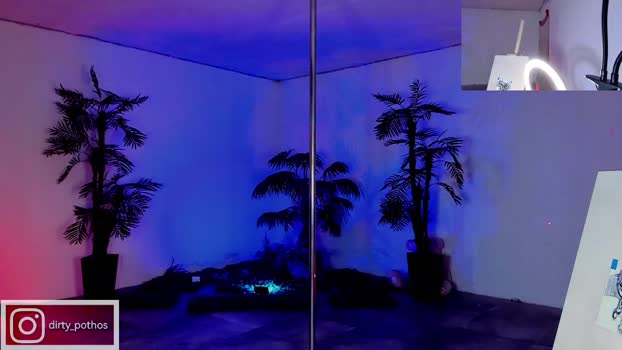 dirty_pothos  03-08-2023 video amateur