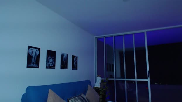 leo_king17  03-08-2023 video Pretty