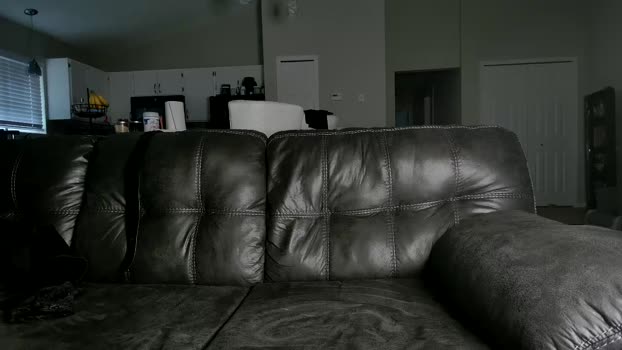 alphazack14  05-08-2023 video gag