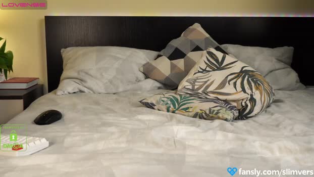 slimvers  05-08-2023 video bigtoys