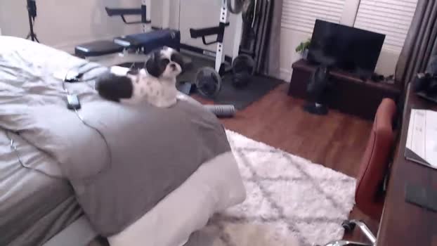 mrcooperxxx  06-08-2023 video Topless