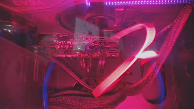 boycurious95  08-08-2023 video lovense