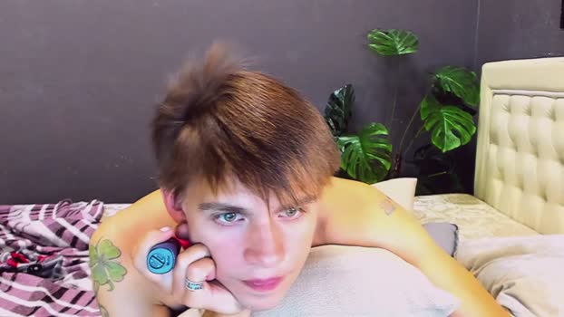 aristarkh_  09-08-2023 video nasty