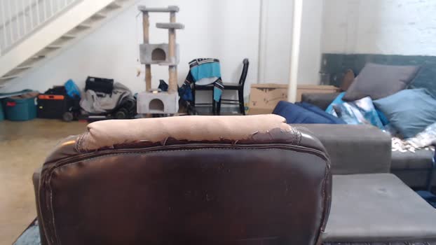 wookgonewild  09-08-2023 video sweet