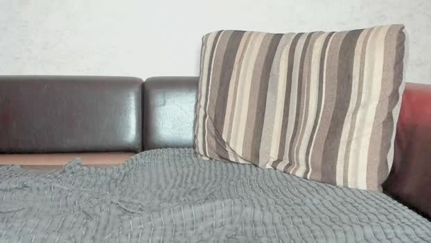 tayler_durden_1  10-08-2023 video cute