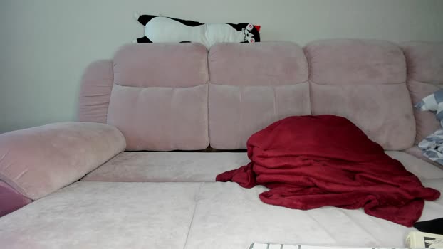 dzimistiv  13-08-2023 video Cam