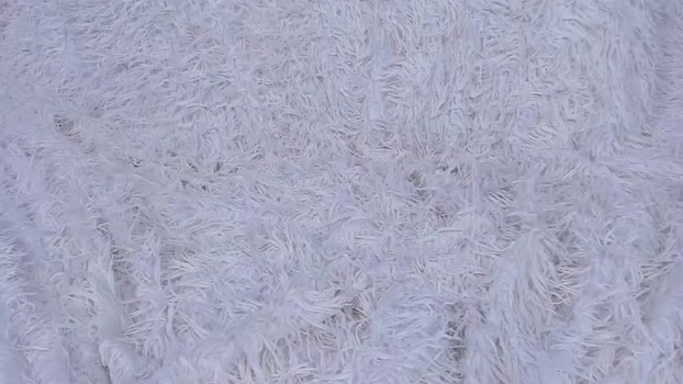 honeyxander  14-08-2023 video Webcam