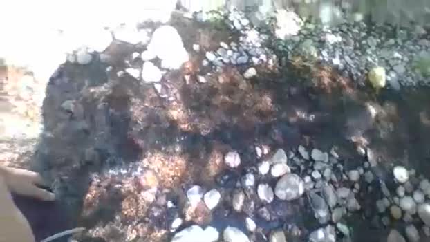 smilezszs  14-08-2023 video Nude