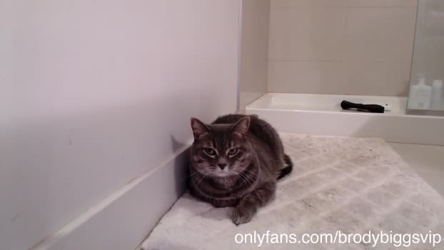 brodybiggs  15-08-2023 video beauty