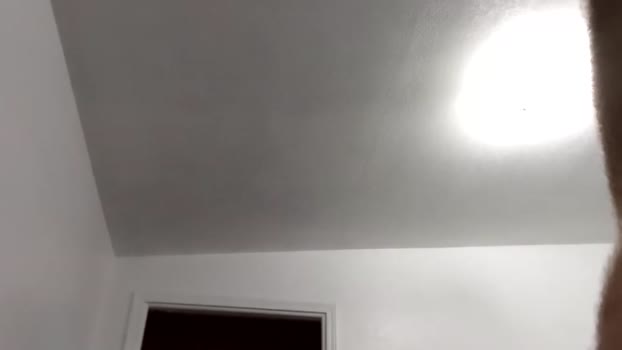 jmtz4420  19-08-2023 video jackoff